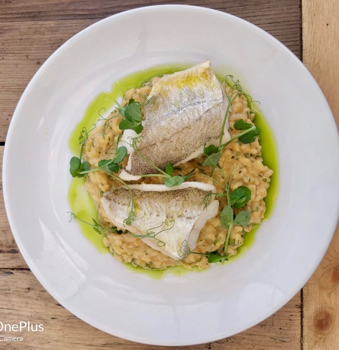 Grilled whiting, brown crab risotto cooked with crab bones finished with brown crab meat, peashoots, chives, dill butter and lemon. On the set lunch and pre-theatre menu at Chapel Row. 
#batheats #visitbath