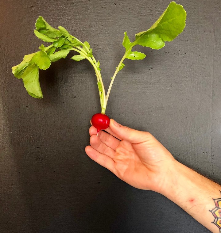 Tom our chef at Walcot continues our series of letting ingredients speak for themselves. What is this radish saying? #corkagebath #bath #vegisbest #veganbites #eatyourradishes