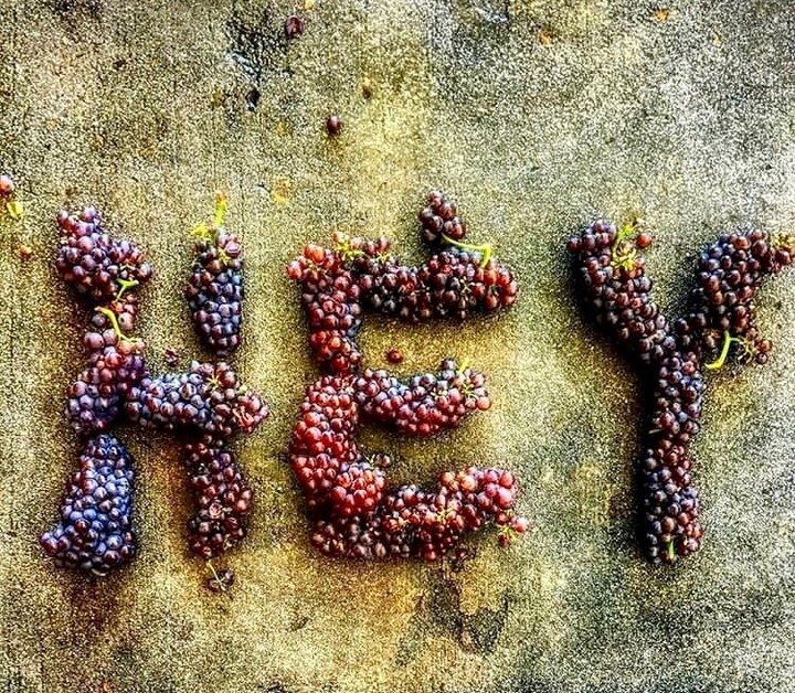 In case you need a reminder. The time to enjoy wine is right now.