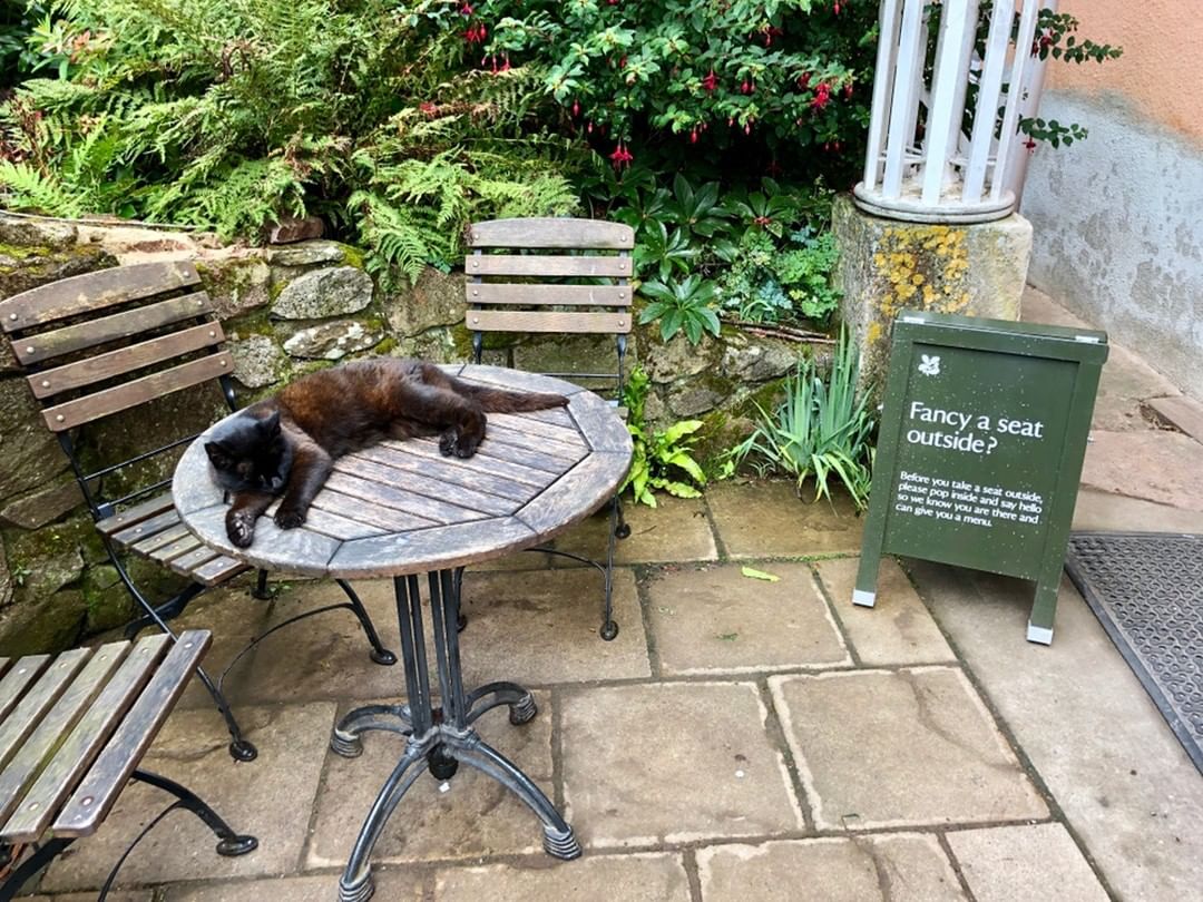 While the good weather holds, don’t forget about our lovely terrace and garden at Chapel Row. We cannot promise you sleeping cats but we can bring you wine. #corkagebath