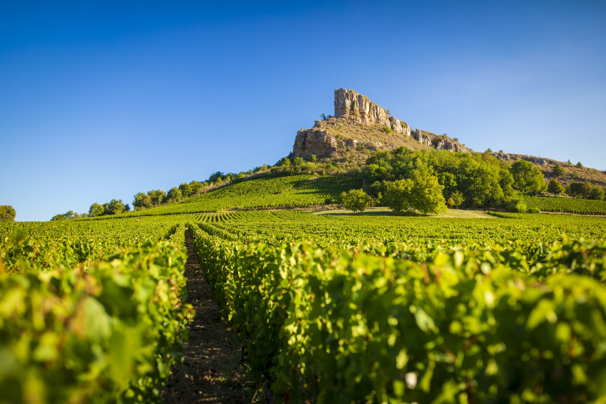 solutre-pouilly_27082018_4860